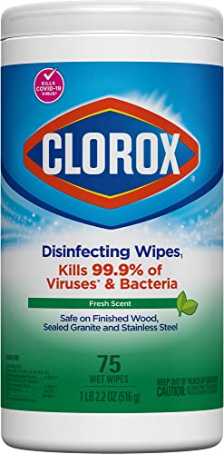 Clorox, Bleach Free Wipe, Fresh, 75 Count #TOP12