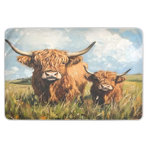 CEBUGI 34” x 52”Washable Underpads Heavy Absorbency Waterproof Incontinence Bed Pads Highland Cow Pee Pads for Adults Kids and Baby