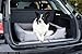 BedDog Hundebett L - Hundekissen - Hundekorb - Hundecouch - Hundesofa - Bezug abziehbar, Waschbar, für Mittel-Kleine Hunde