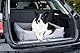 BedDog Hundebett XXL - Hundekissen - Hundekorb - Hundecouch - Hundesofa - Bezug abziehbar, Waschbar, für Mittel-Große Hunde