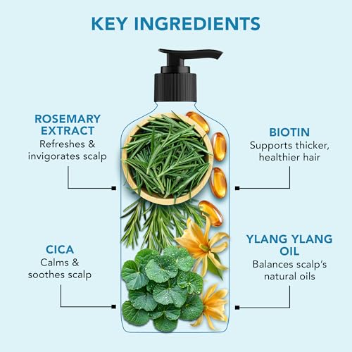 Image of Botanic Hearth Volume & Growth Shampoo with Biotin & Ylang Ylang Oil | Thickens & Strengthens Hair | Hydrating & Fortifying Formula with Cica & Rosemary Water| Sulfate & Paraben Free, 473ml