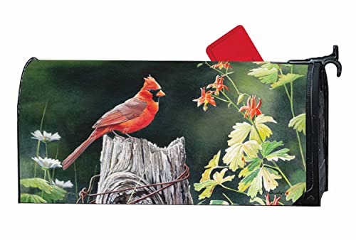 Image of Studio M Cardinal Song Decorative MailWrap, The Original Magnetic Mailbox Cover, Made in USA, Superior Weather Durability, Standard Size fits 6.5W x 19L Inch Mailbox