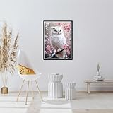 Zoom IMG-1 ceovr diamond painting kit gufo Zoom IMG-1 ceovr diamond painting kit gufo