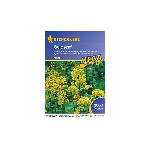 Kiepenkerl Gelbsenf, 2 kg
