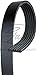 Gates K060950 Micro-V Serpentine Drive Belt