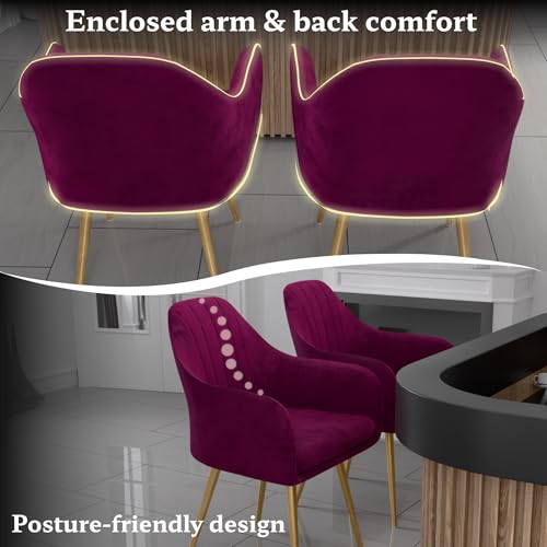 Image of Milano Velvet Comfort Dining Chair with Deep Cushion Seating, Strong Wooden Frame & Metal Support Legs for Dining, Living Room, Bedroom, Balcony & Office (Royal Maroon)