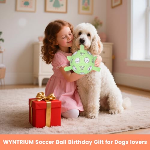 Image of 6 Inch Dog Soccer Ball, Interactive Dog Toys for Small Dogs | Floating Water Toys, Jolly Ball with Straps, Durable Outdoor Training Dogs Tug Toy, Outside Pet Toys, Birthday Gift for Puppy
