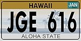 OPO 10 - USA-Autokennzeichen - Metallnachbildung 30x15 cm: Hawaii (8231)