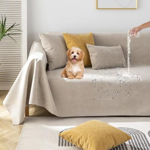 §rtfn}`Jo[ h \t@[Jo[ Sʖh H 邾[ ` 唻 L΍ \t@[V[c 2~3l|k  LpV[g uPbg n ybgΉ h~ LYh~ ~ Yɂ J[ybg @