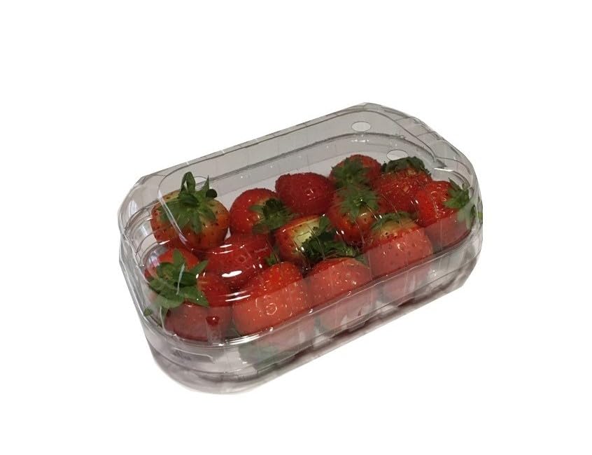 2300 Pezzi : 1150 CESTINI CON 1150 COPERCHI PER PICCOLI FRUTTI da 125 gr R-PET CONTENITORI VASCHETTE CON COPERCHIO MUNITI DI FORI IDEALI PER FRUTTA e ORTAGGI