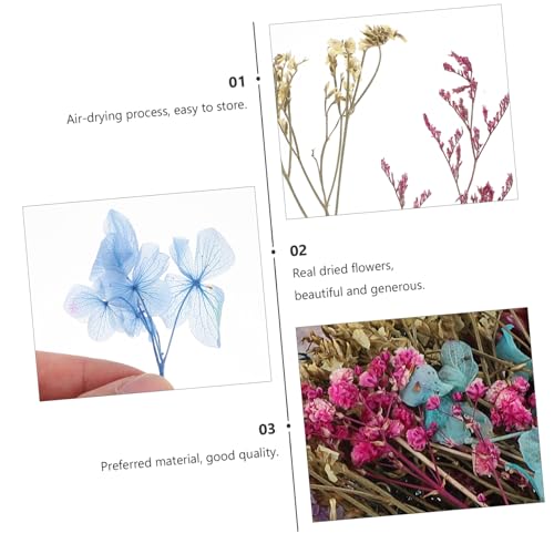 Kit Mini Flores Secas Naturales para Manualidades miniatura 5