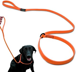DogBone Slip Lead for Small, Medium, & Large Dogs – No Pull Lasso Style Leash & Collar for Control During Training - Waterproof & Chew Resistant Biothane Alternative - Great Size for Hiking & Travel