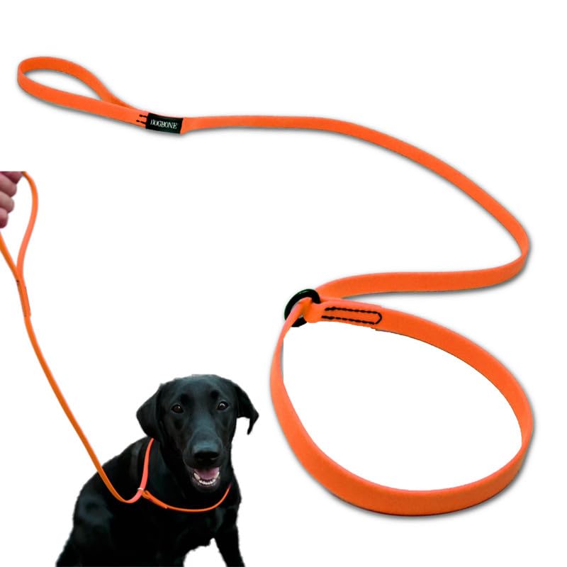 DogBone Slip Lead for Small, Medium, & Large Dogs – No Pull Lasso Style Leash & Collar for Control During Training - Waterproof & Chew Resistant