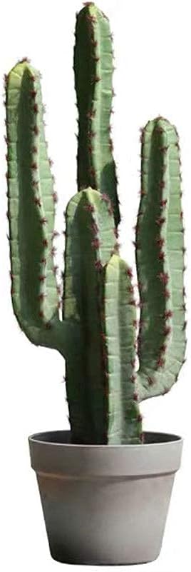 北欧のサボテン造花緑シミュレーション植物装飾ウィンドウ偽の木結婚式のホームオフィスの装飾造花 メーカー再生品 色 C