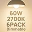2700k-60w 6pcs