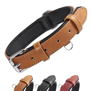 Grand Line Leather Dog Collar, Wider and Thicker Durable Dog Collar with Soft Padded, Adjustable Pet Dog Collar for Small Medium Large Cat Puppy (Brown, S)