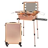 Jula Vance Large Makeup Train Suitcase with Built-in Lights & 3 Light Colors & Omni-Direction Wheels Lighted Rolling Travel Cosmetic Organizer, Professional Artist Trolley Studio Free Standing