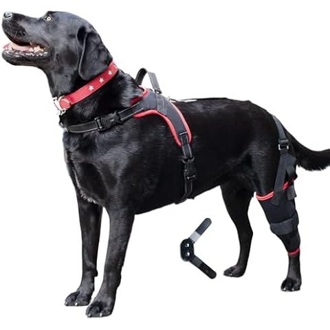 PetAngell Dog Knee Brace with Harness – Premium Support for Dogs with Torn ACL, Hind Leg Injuries, Luxating Patella, Arthritis & Cruciate Ligament Care, Dog Leg Brace for Back Leg - Left Med Cover