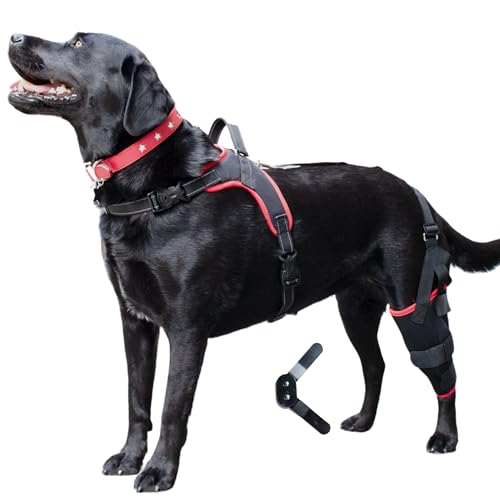 Image of Dog Knee Brace with Harness - Premium Support for Torn ACL, Hind Leg Injuries, Luxating Patella, Arthritis & Cruciate Ligament Care, Dog Leg Brace Back Leg - Right Med