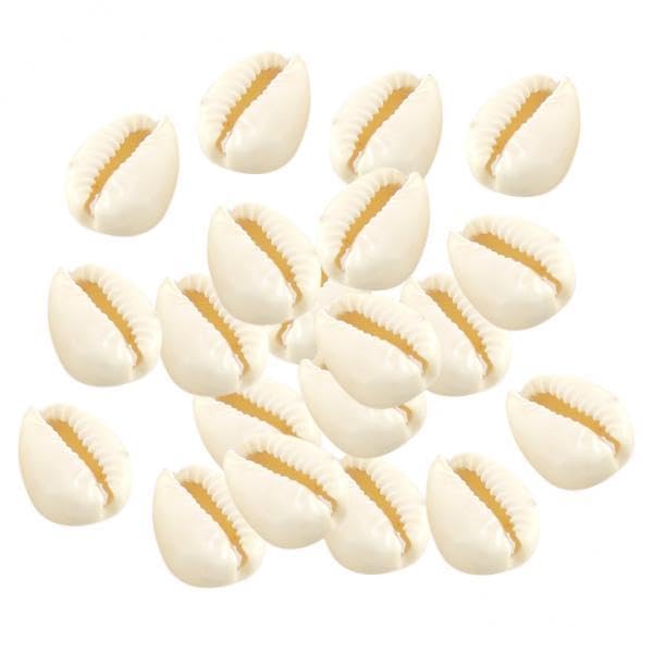SNAPPSY 3x20pcs electroplated Natural Shell Conch Beads for Jewelry Making White-picture-6