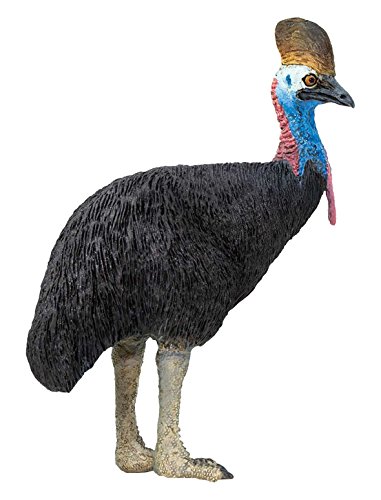 Preisvergleich Produktbild WS WL kasuare