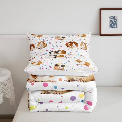 Image of Guinea Pig Bedding Set for Girls Boys Children Cute Cavy Pattern Comforter Decorative Cartoon Lovely Pet Animal Comforter Set Colorful Polka Dots Duvet Set Twin Size 2Pcs Bedspreads Coverlet Sets