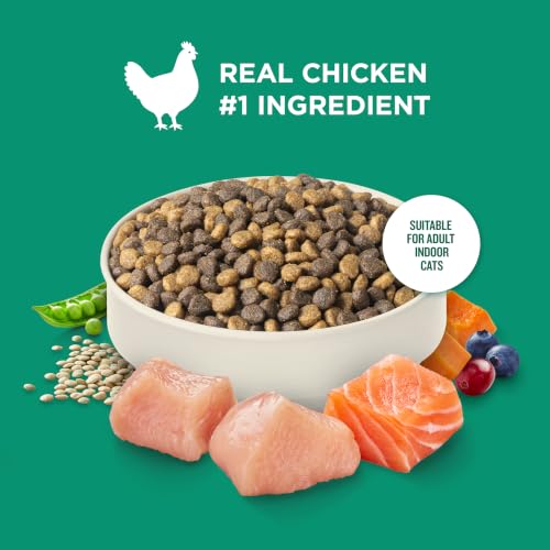 Nutrish Indoor Complete Dry Cat Food, 6 lb. Bag (Rachael Ray) | Chicken, Lentils & Salmon Recipe, Crafted for Adult Indoor Cats, Veterinarian Reviewed Formula - Image 5