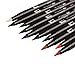 Tombow 56168 Dual Brush Pen Art Markers, Secondary, 10-Pack. Blendable, Brush and Fine Tip Markers