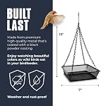 Monarch Abode Nourriture d'oiseaux suspendus pour l'extérieur – Feeder suspendu avec bac à semences en mesh de fer pour oiseaux sauvages, Matte Black Metal Feeding décoratif d'oiseaux sauvages pour jardin extérieur Patio Deck Yard