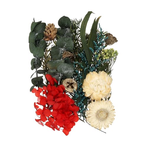Set de flores secas naturales para manualidades