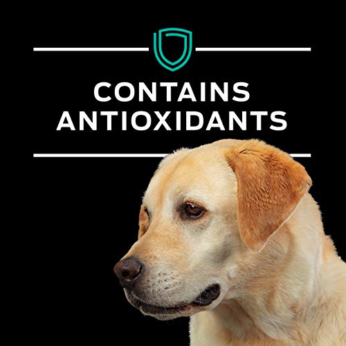 Purina Pro Plan Veterinary Diets En Gastroenteric Canine Formula Wet Dog Food - (12) 13.4 Oz. Cans #TOP7
