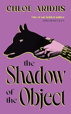 The Shadow of the Object cover image