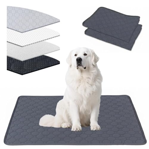 Lifetips O[gEsj[YiGreat Pyreneesj 􂦂ybgV[c ybgV[c 􂦂 2Zbg ~ V[cCh V[g L ۂƐ􂦂 ~}bg ld\ Rh~  ~ ^ ^  