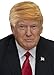 Funny Donald Trump Wig For Adults Kids Trumps MAGA President Hair Costume Wigs