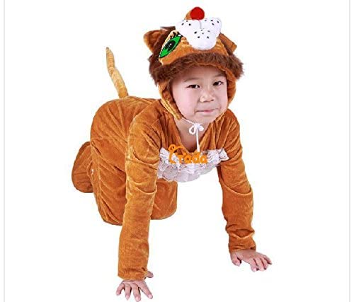 Pipravtra Lion Fancydress Imported Costume for Kids (5-6) Brown (B0BLYSXTCY) Amazon Price History, Amazon Price Tracker