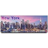 New York City panoramic fridge magnet NYC travel souvenir