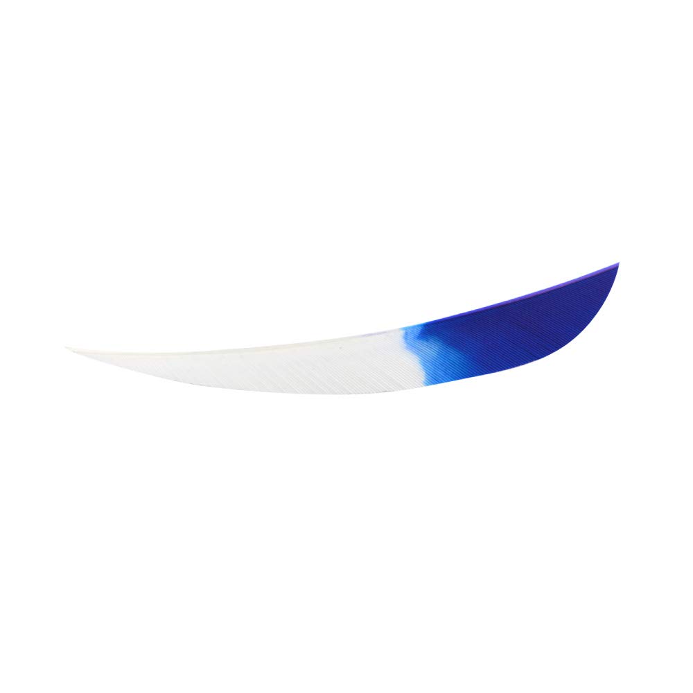 Flèches de tir à l'arc en plumes de dinde,accessoires de flèche,coupe Flèches de tir à l'arc en plumes de dinde,accessoires de flèche,coupe
