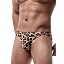Leopard-dyd