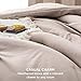 Bedsure Queen Comforter Set - Warm Taupe Soft Bedding for All Seasons, Cationic Dyed Bed Set, 3 Pieces, 1 Queen Size Comforter (90