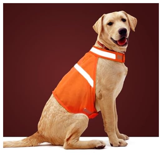 Dog Jacket High Visibility Safety Reflective Dog Vest for Small Medium Large Dogs (Large, Orange)