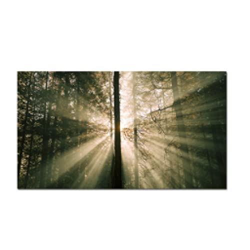 Peinture sur toile forêt lumineuse pour illuminer un mur sombre 40x80 cm