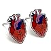 Anatomical Heart Earrings for Women Wood Shaped Studs,Valentines Day Gift for Wife Her Mom Girlfriend Daughter Sister,Funny Jewelry Gifts for Physiology Medical Cardiologist Nurse Gift Birthday