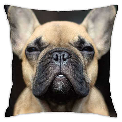 French Bulldog Pillowcase Dog Pillow Cover Pillow Case For Square Cushion Cover Sofa Bedroom Livingroom Home Decor 18 X 18 Inch #TOP10