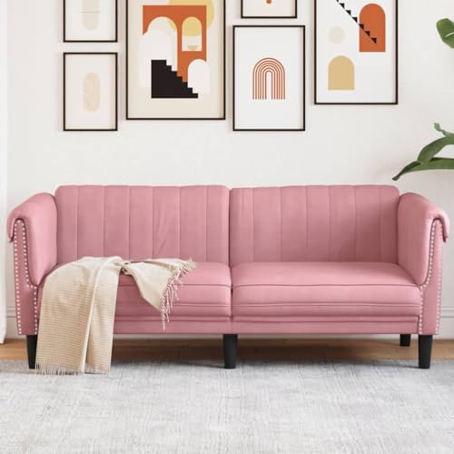 Refined Sofá de 2 plazas Terciopelo Rosa