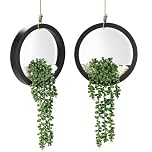 BTSD-home 2 Pack Fake Plants Artificial Hanging Plants With Modern Black Frame For Living Room Bathroom Home Indoor Wall Decor