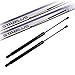 Produktbild 2x Original STABILUS Gasfeder Heckklappe Satz Länge 543 mm 460 N LIFT-O-MAT