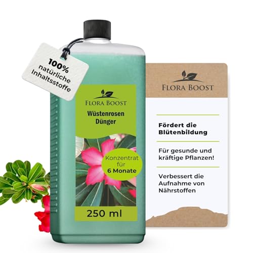 Konfitee Wüstenrosen Dünger Flora Boost 250ml I Für bis zu 50L...