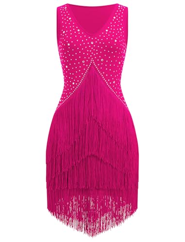 Rhinestone Fringe Tassel Latin Dance Dress for Women Competition Dance Costumes Salsa Latin Dresses for Ballroom Dress Tiered Flapper Dresses 1920s Gatsby Party Samba Tango Dancing Outfit Hot Pink S