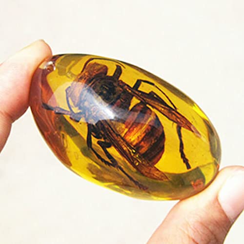 Image of Acxico 2Pcs Beautiful Amber Hornet Fossil Insects Manual Polishing