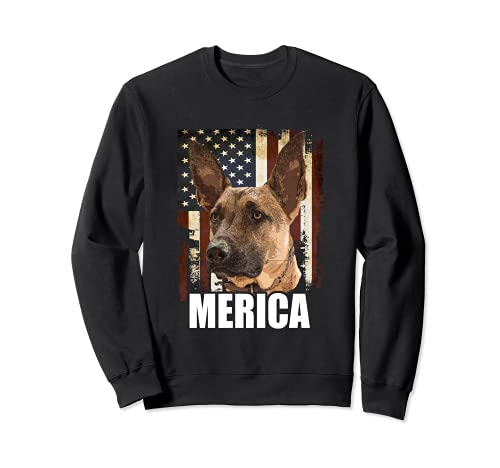 Maligator Belgian Malinois Dog USA America Flag Patriotic Sudadera